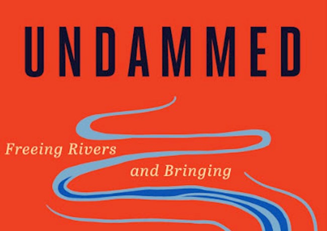 a red book cover with illustrations of blue rivers flowing with the title Undammed: Freeing Rivers and Brining Communities to Life